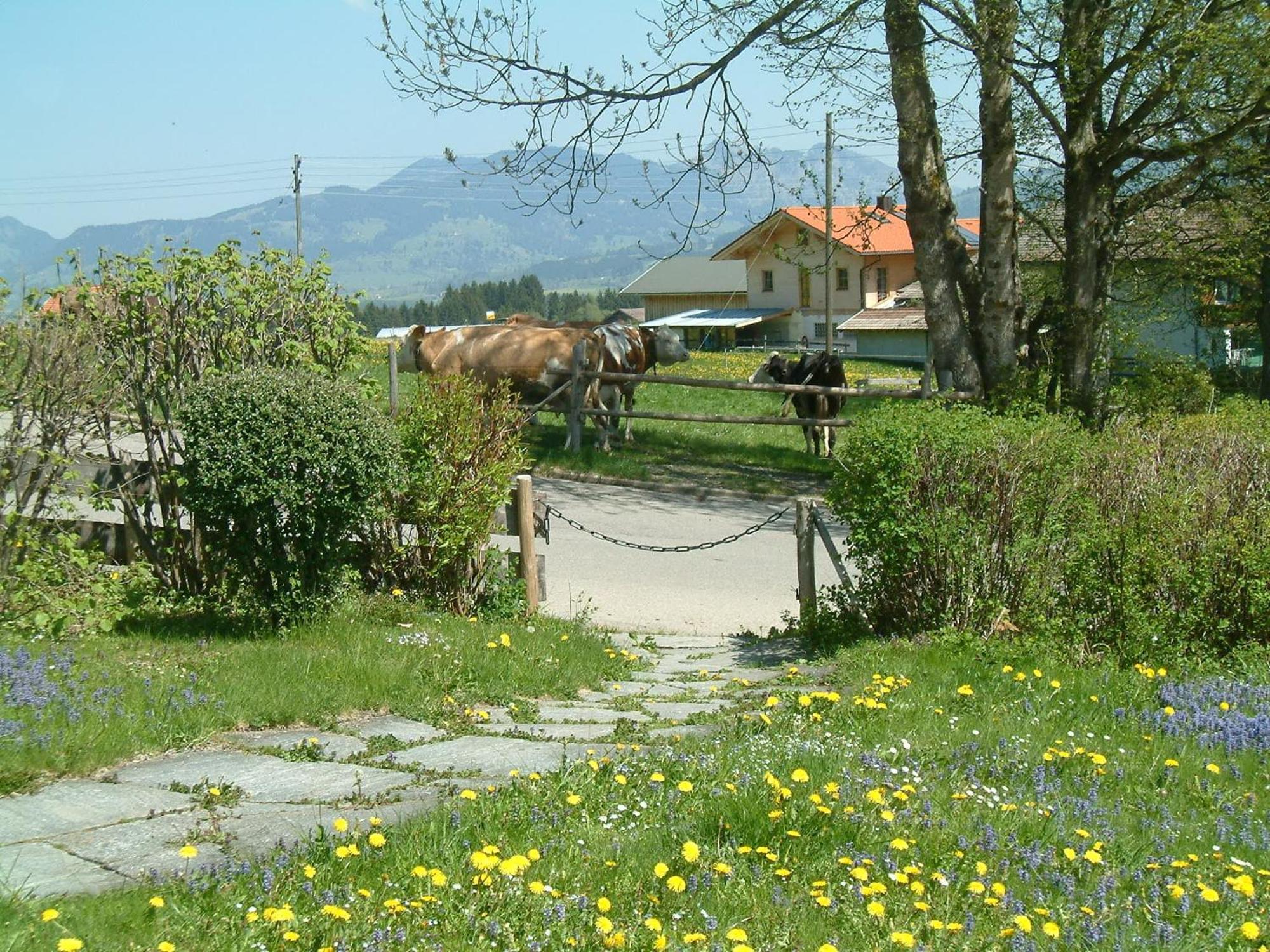 Ferienhaus Riss Bolsterlang Zimmer foto